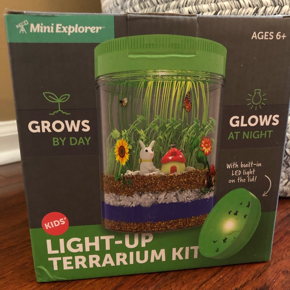Light-Up Terrarium Kit